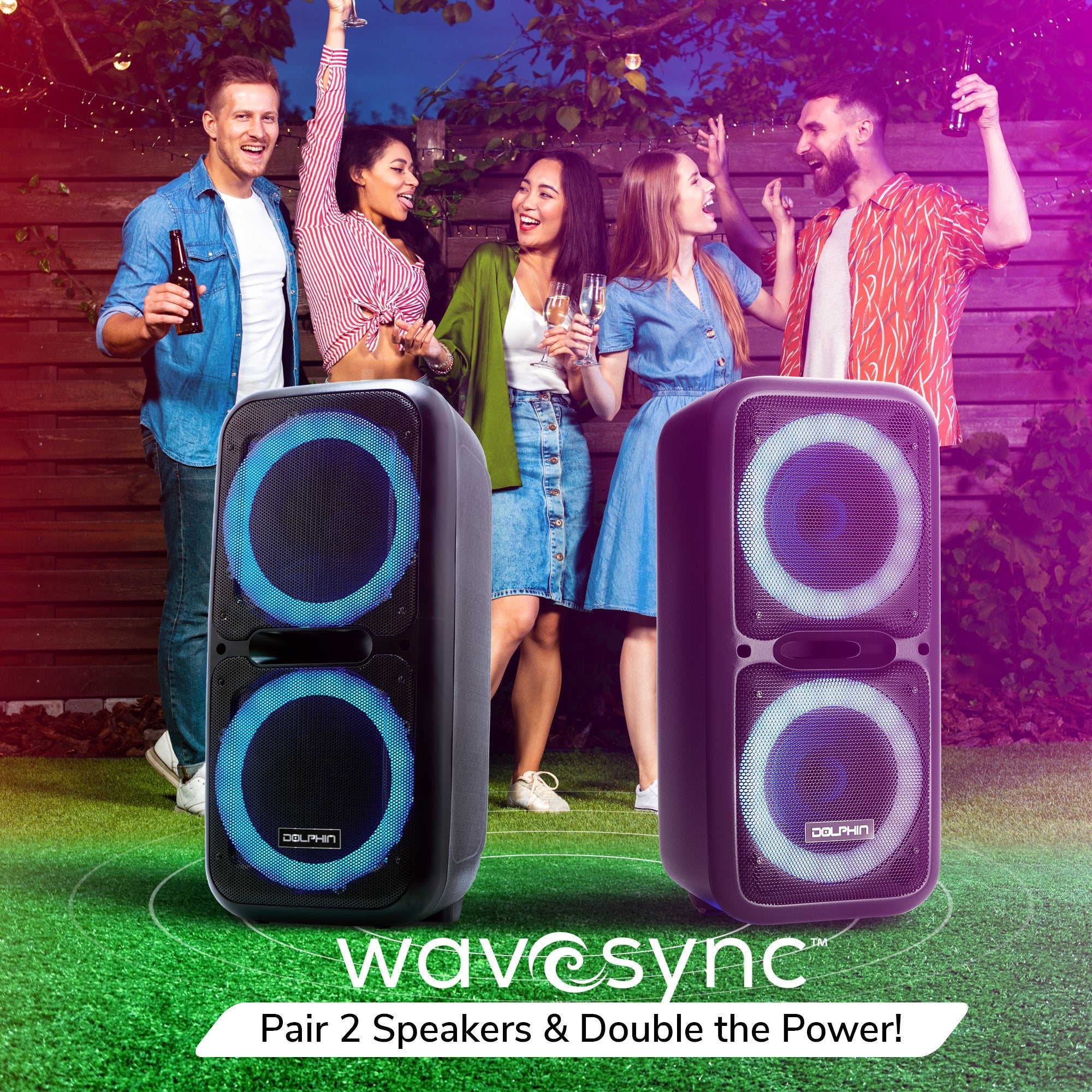 Dolphin SP-2120RBT Portable Bluetooth Speaker Rechargeable Sound System with Microphone - Top ElectrosSpeakersSP-2120RBT850006218578