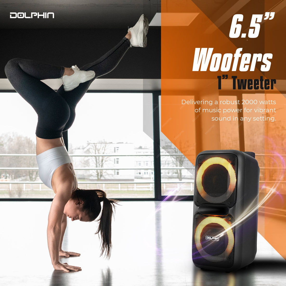 Dolphin SP-2080RBT Dual 8-Inch High Power Portable Bluetooth, Wireless Microphone, Deep Bass, LED Lights, USB/SD Card, Rechargeable Battery - Ideal for DJ, Outdoor & Indoor Events - Top ElectrosSpeakersSP-2080RBT810059431904